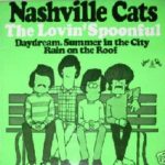 Nashville Cats